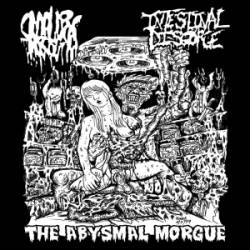 Intestinal Disgorge : The Abysmal Morgue